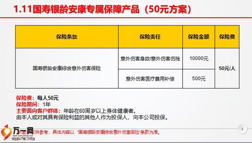 国寿保险产品银龄安康系列产品介绍13页.pptx