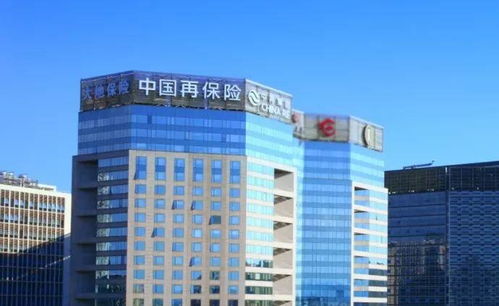 中再集团