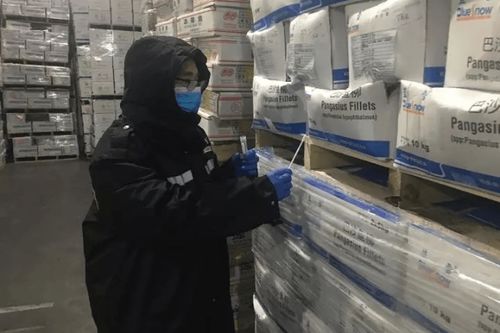 全国首个 宁波推出 冷链食品无害化处理保险