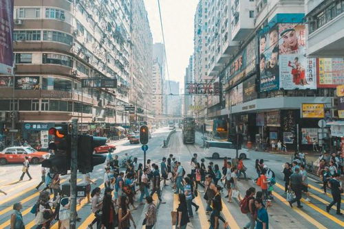 年末前瞻 今年最后两月国内或将迎三大变化，保险行业需未雨绸缪