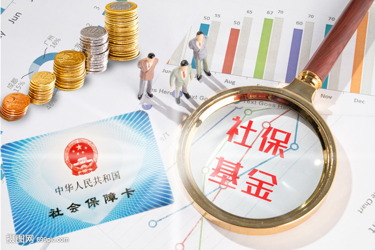 社保基金与保险 构建社会安全网的双重支柱